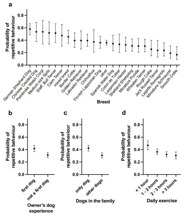 新手主人的狗狗更易出现重复行为｜《科学报告》论文