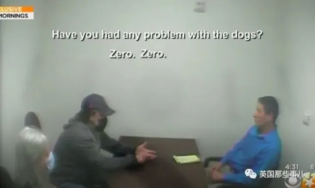 一次当狗狗保姆的经历，让她被咬了800多下，人生彻底被改变