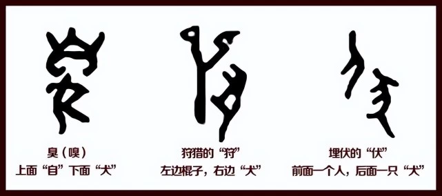 “狗”字的产生和演变过程，狗是人类最好的助手