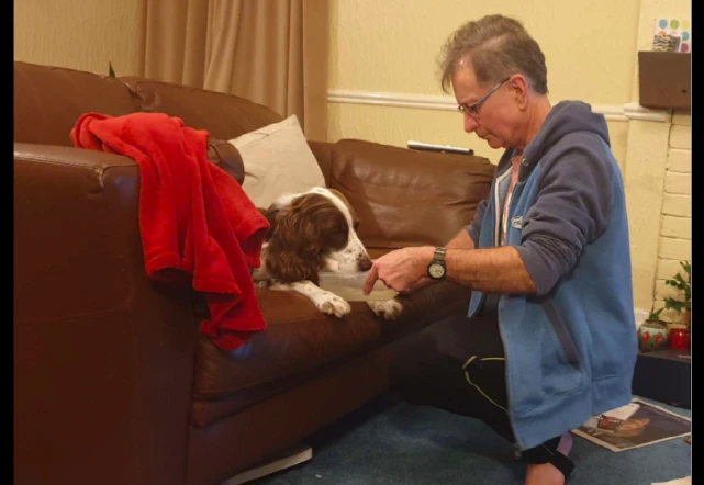 狗狗陪伴主人9年，如今病重不能上楼，家人每晚轮流来陪它睡觉！