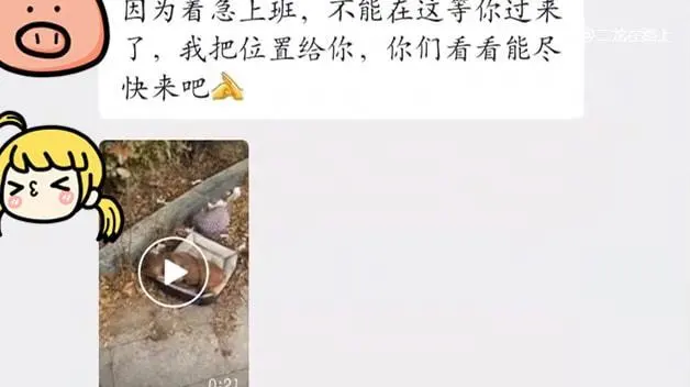 斗牛犬受伤被遗弃在路边，守着垫子不肯离去：这是主人留给我的