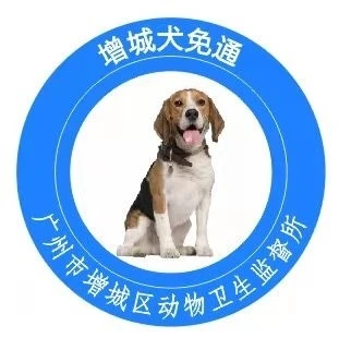 “增城犬免通”上线，增城宠物犬免疫办证更便捷