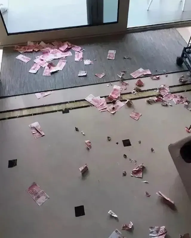 网友把哈士奇独自留家，可没想到回来后一地的钞票，哭笑不得