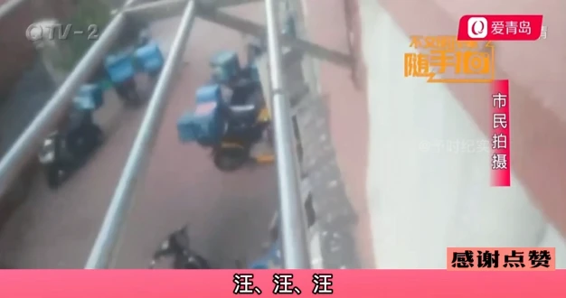 大狗24小时叫不停，小区业主失眠怒报警，狗主人：你别吓我的狗！