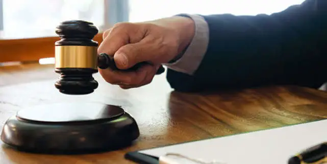 高价买的“暹罗”猫竟是“星期猫”？宠物店被判退一赔三！