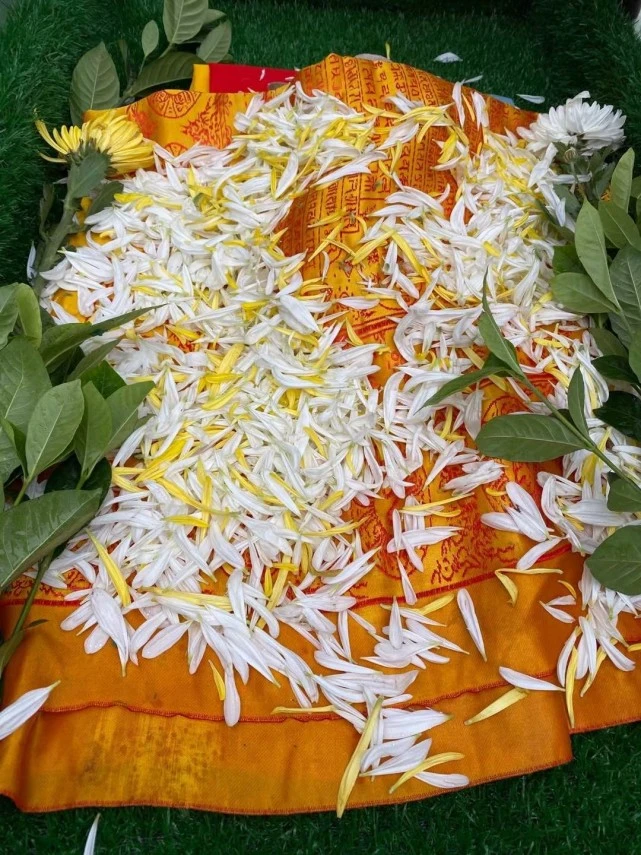 宠物殡葬师夹缝中求生存：这仿佛是见不得光的事情，充斥着驱赶和举报