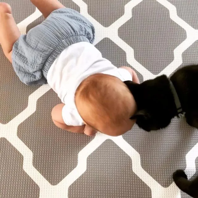 猫不喜欢宝宝，却在凌晨溜进宝宝房，做出这种事，好暖心！