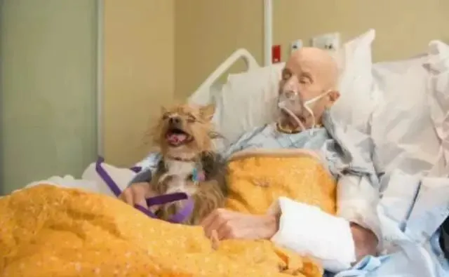 “想再见你一面！”为达成老人临终心愿，大家合力创造了这次见面