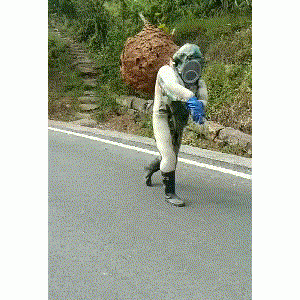 “这是苍蝇变异了吗？弱弱问一下，被叮一口不会去见专业团队吧？”哈哈哈