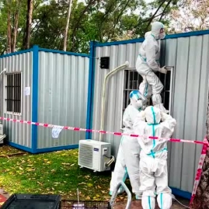 谢谢你们，没有放弃我！——来自上沙宠物的告白