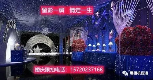 不再养猫——“回忆往事·感悟人生”全国有奖征文（38）