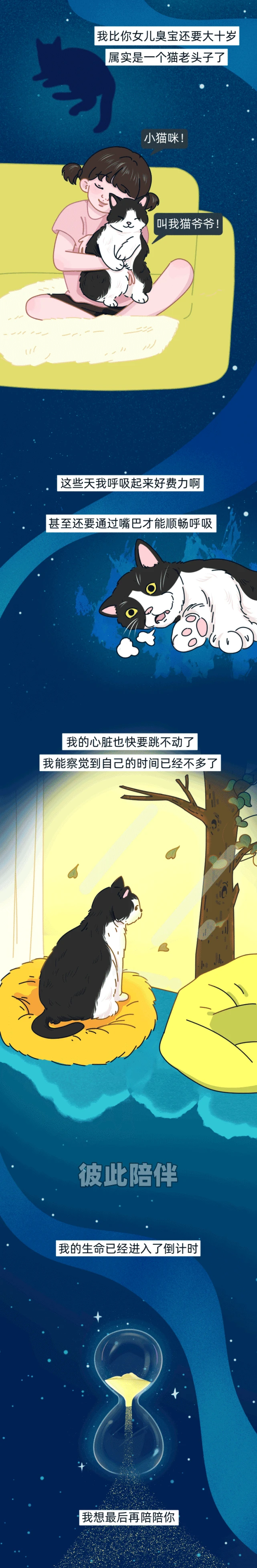 “我的猫临终前，找到了我丢了三年的结婚戒指……”