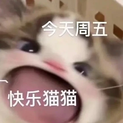 一周表情包：今天周五，快乐猫猫