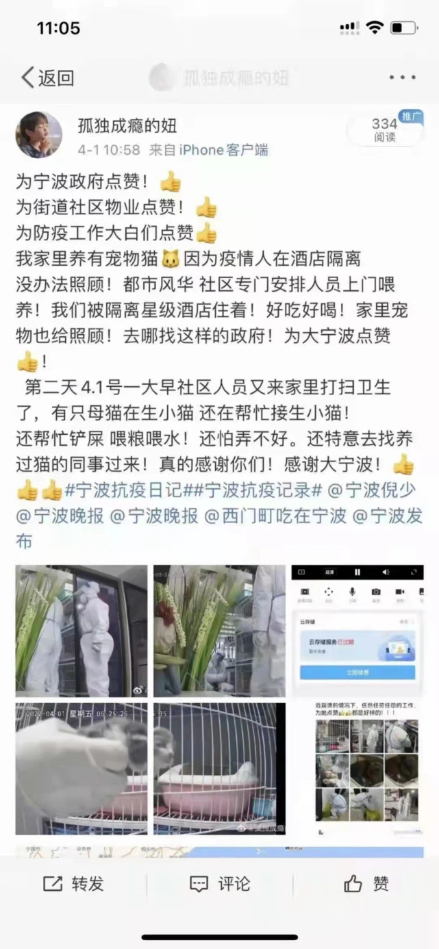 封控区20多只猫咪的“铲屎官”，为你点赞！