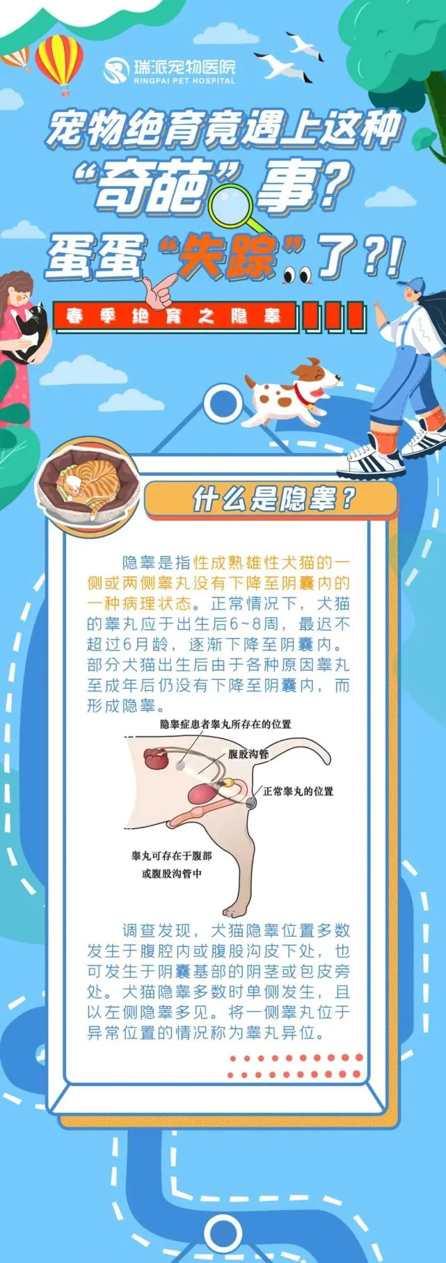 宠物绝育竟遇上这种“奇葩”事？蛋蛋“失踪”了？！