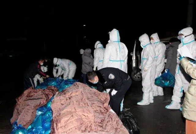 长春：男子居家隔离吃掉宠物狗，志愿者送牛肉也没保下狗命