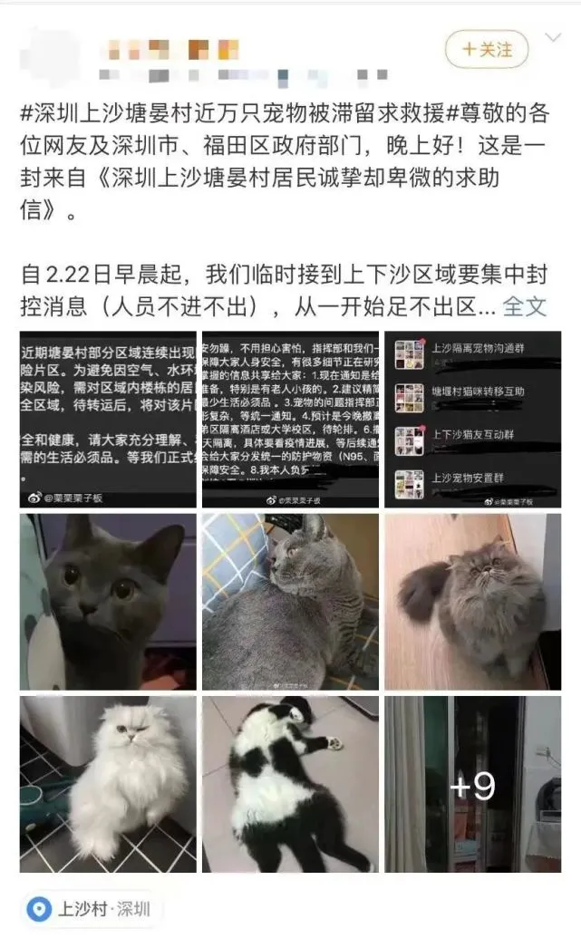 “毛孩子”也有专属“保护伞” 深圳集中隔离人员宠物集中托管中心正式建成