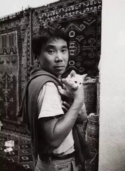 十五个作家，十五种猫事