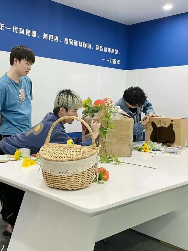 fly给流浪猫做猫窝，造型绝美，小细节非常暖心，向鱼的花窝却太直男了