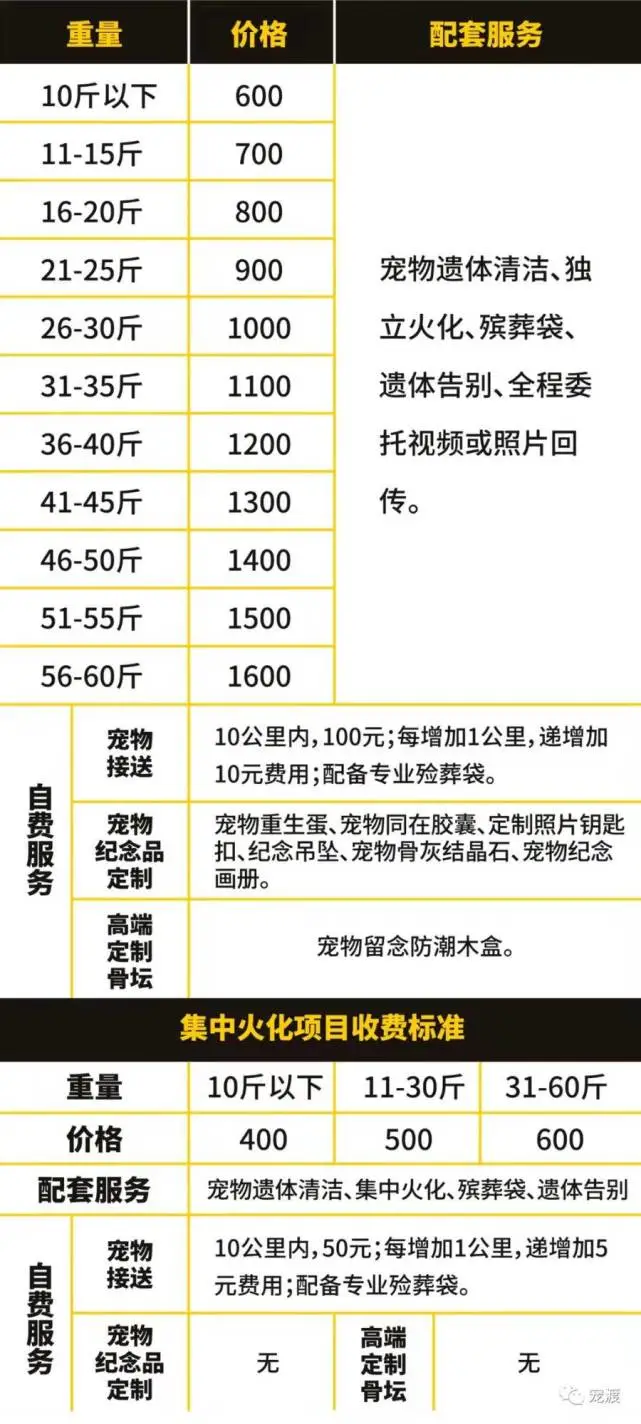 对话潍坊宠灵摆渡人：给毛孩子留一份体面，给宠物主留一份思念