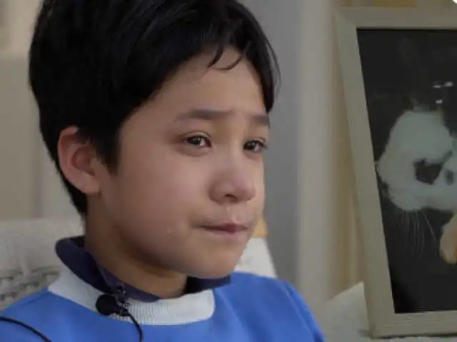 他们和宠物最后的告别：陪了我一辈子 让它体面离开