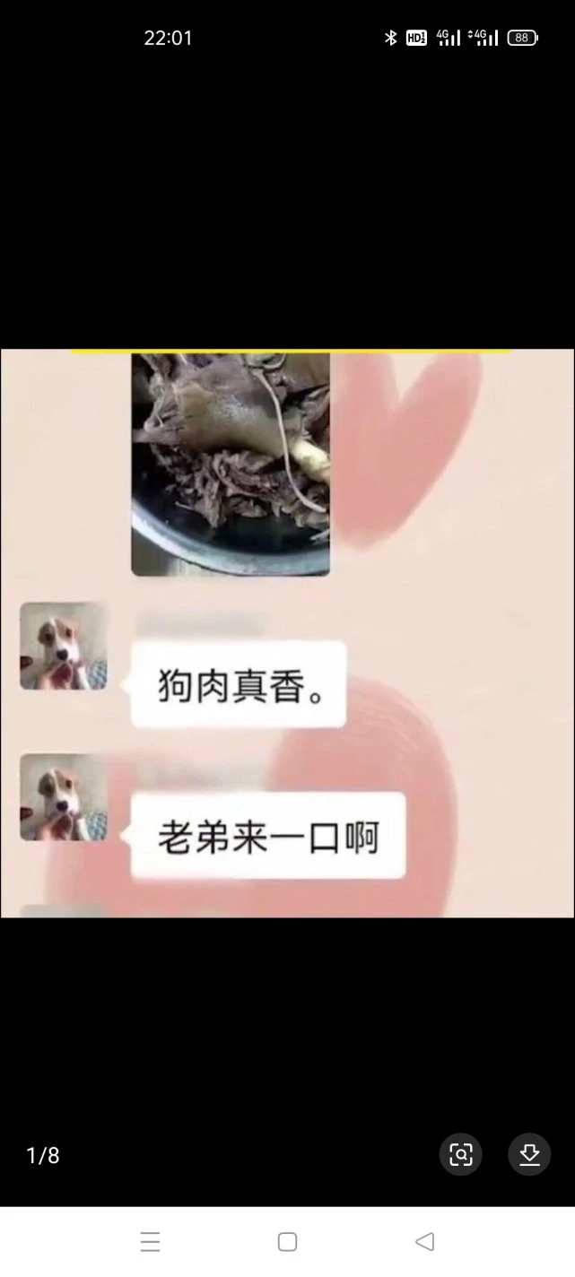自己的养的狗，凭什么不让吃？