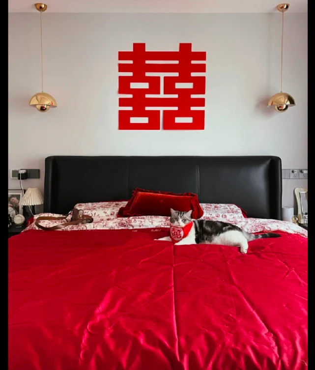 主人结婚猫咪当陪嫁，睡在婚床上毫无违和感，猫：红包是小鱼干吗