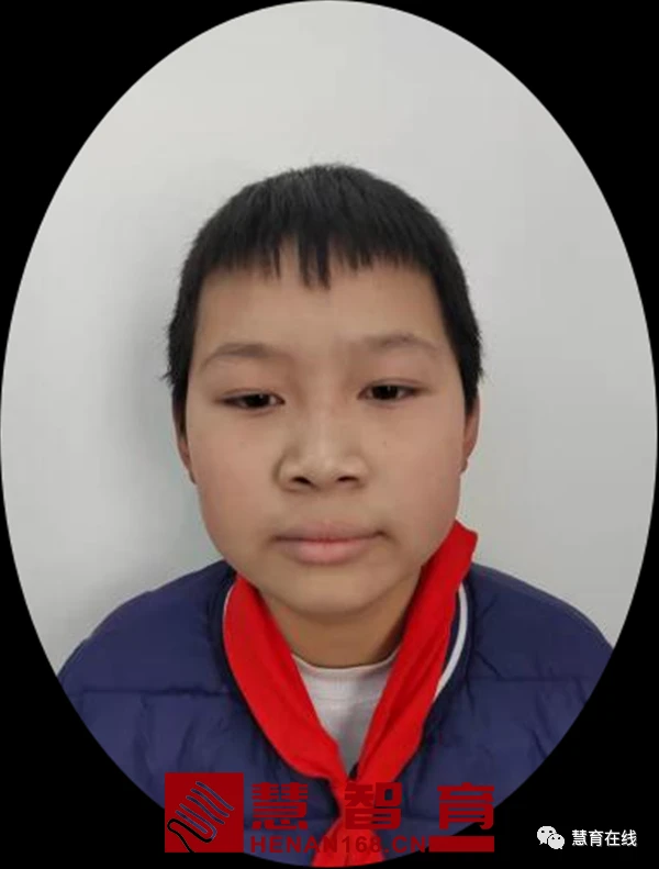 贵宾犬——小灵