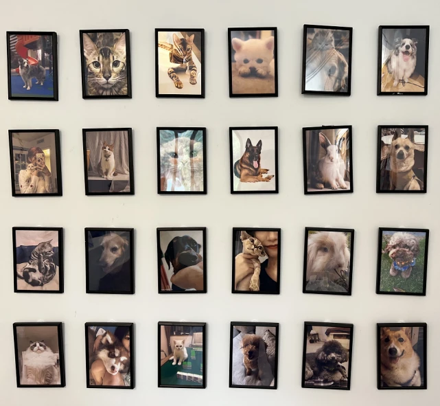 杭州80后姑娘做这门“生死生意”，三年服务20000多个家庭