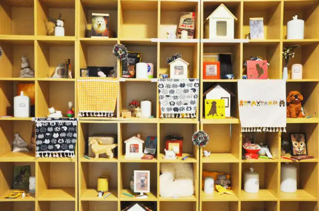 宠物殡葬：用温暖的方式跟爱宠说再见