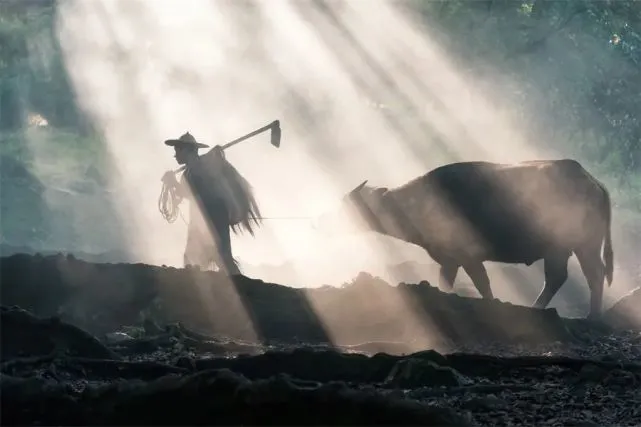 12条与动物有关的苏州俗语，知道一半算你赢