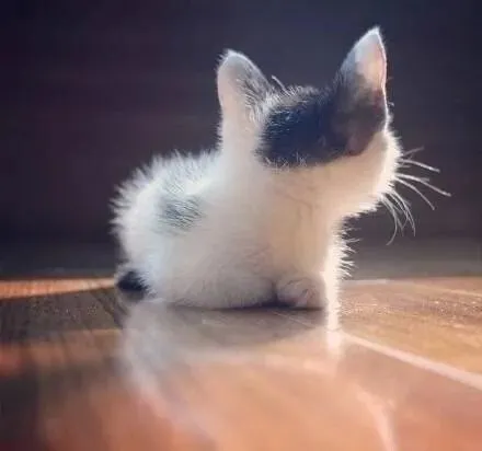 居然被背影萌化了～