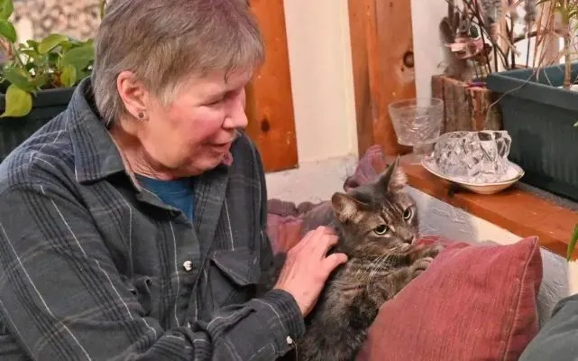 猫咪失踪5周杳无音讯，在天堂的儿子帮忙送它回家！