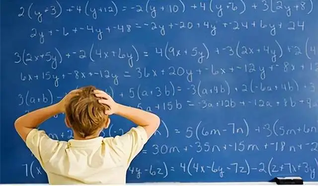 猫咪食量怎么计算？幼猫一天喂多少猫粮？