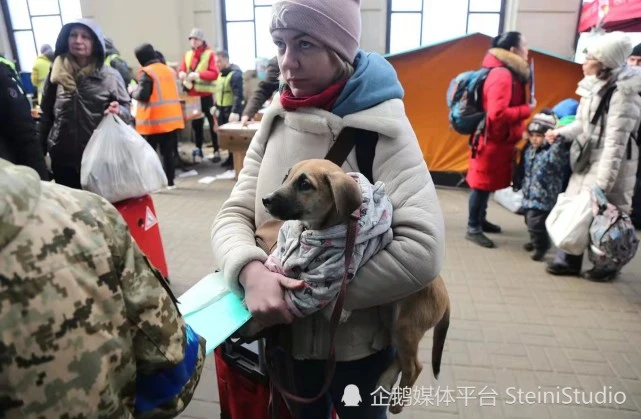 颠沛流离的乌克兰人民，和猫咪、狗狗不离不弃