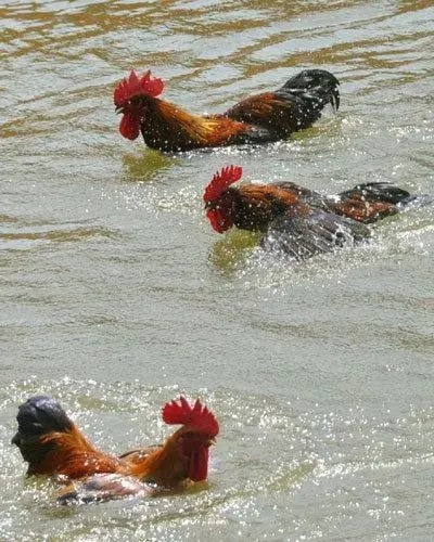 集体大合照，漂亮 漂亮 漂亮！