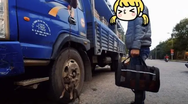 小狗被司机吊挂在卡车上，好心小伙花钱买下狗：以后会好好照顾你