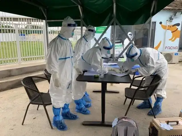 专门建“宠物方舱”，是不是“浪费资源”？