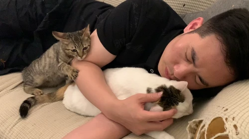 这对夫妇救了一群流浪猫，网友：你们就是猫的全世界