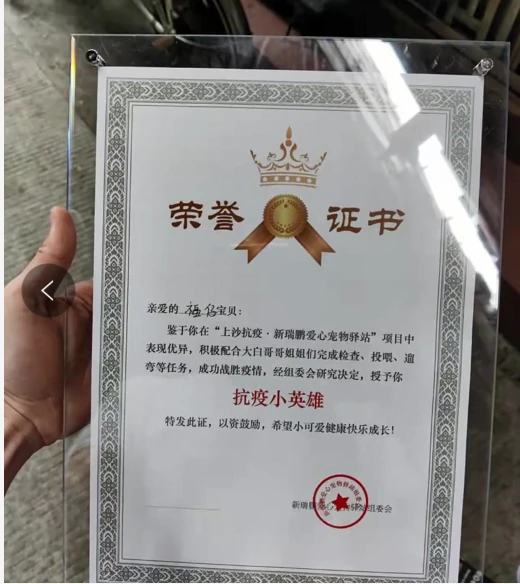 被隔离，家里宠物应该怎么办