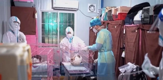 深圳建成全国首个宠物方舱？宠物方舱有必要吗？