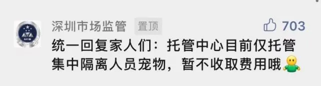 暖！小猫小狗“隔离”后，获得了一张“荣誉证书”！