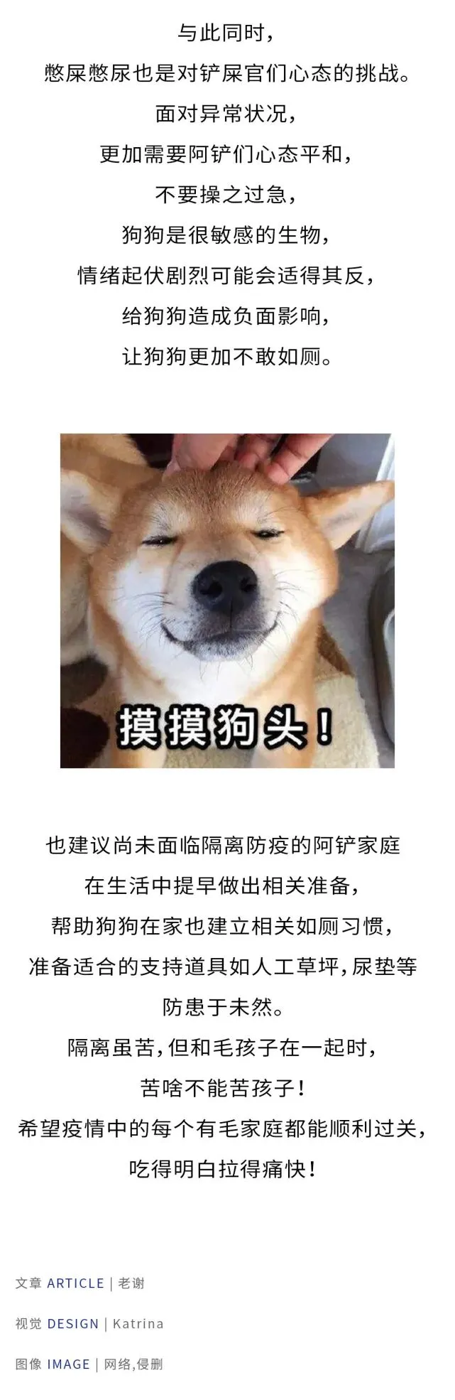 因为隔离我的狗子已经60个小时没有拉尿了，这可怎么办！？