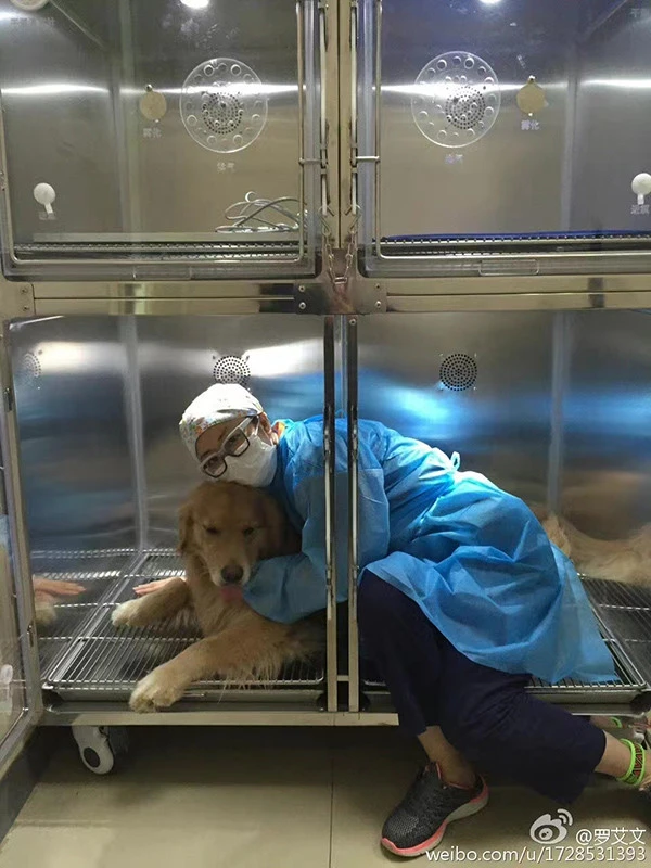 口述｜疫情下的宠物救助志愿者：救宠物，安抚的是主人的心