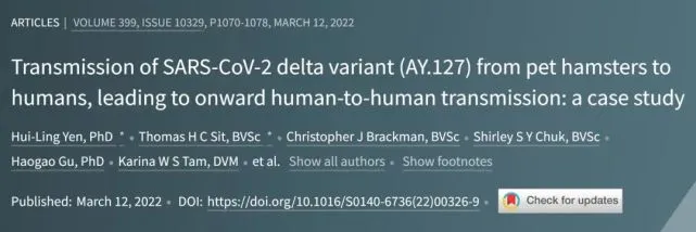 疫情之下，宠物要被集中扑杀？别被谣言“引战”