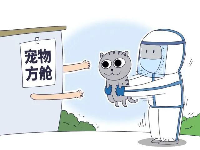 主人被隔离，谁来照顾宠物？