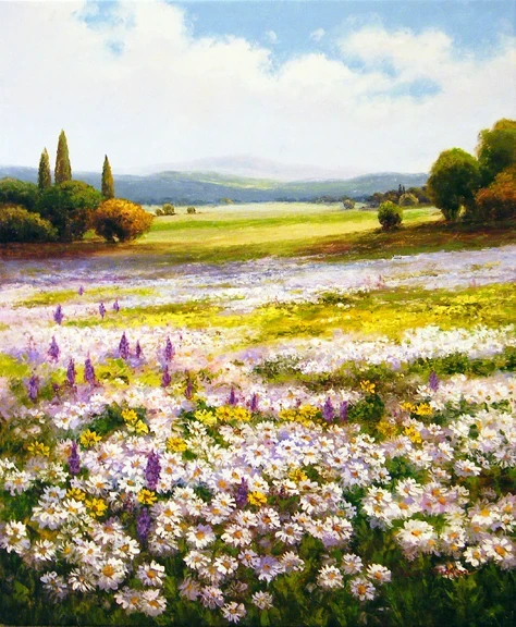 雏菊头像｜或许有人喜欢雏菊吗