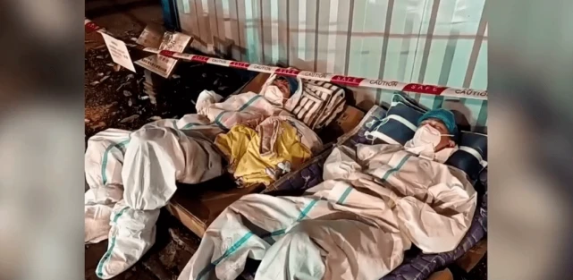 被隔离后，我的宠物该怎么办？｜探访全国首个“宠物方舱”，多图！