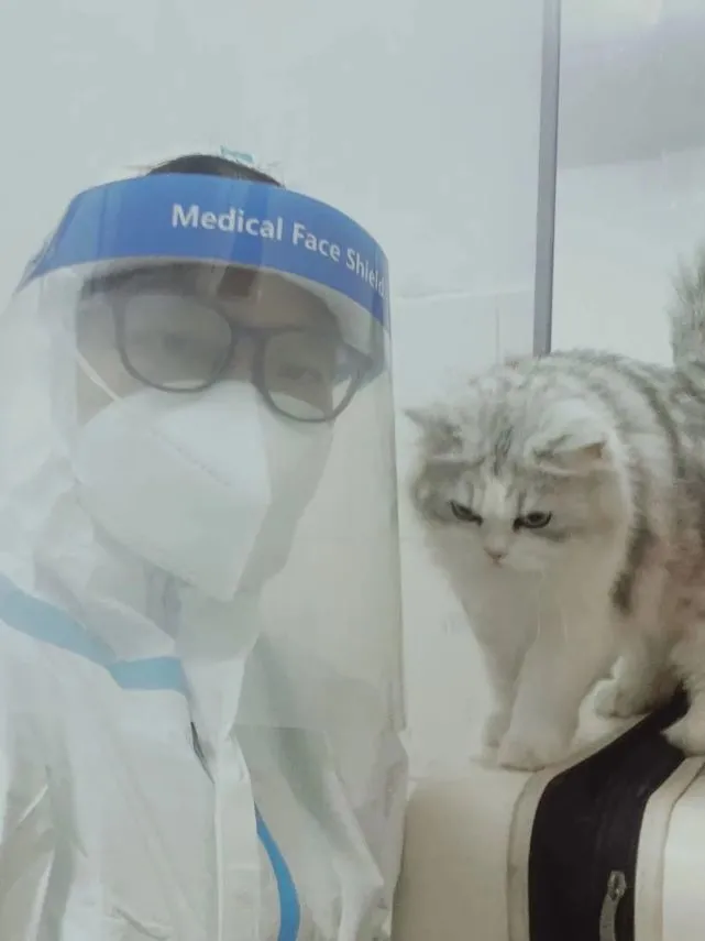 深圳第一个宠物托管驿站，在疫情中的20天