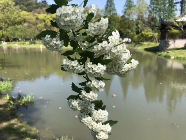 疫情下的生活方式